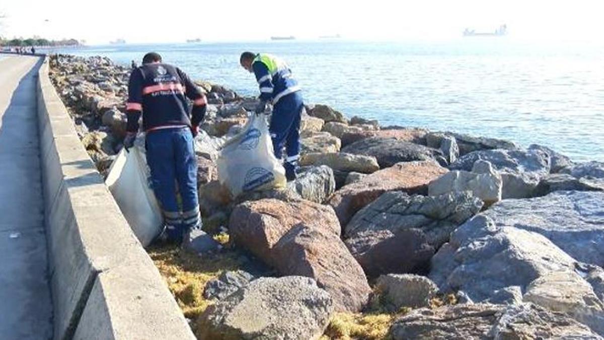 İstanbul'daki esrarengiz koku sırrını koruyor