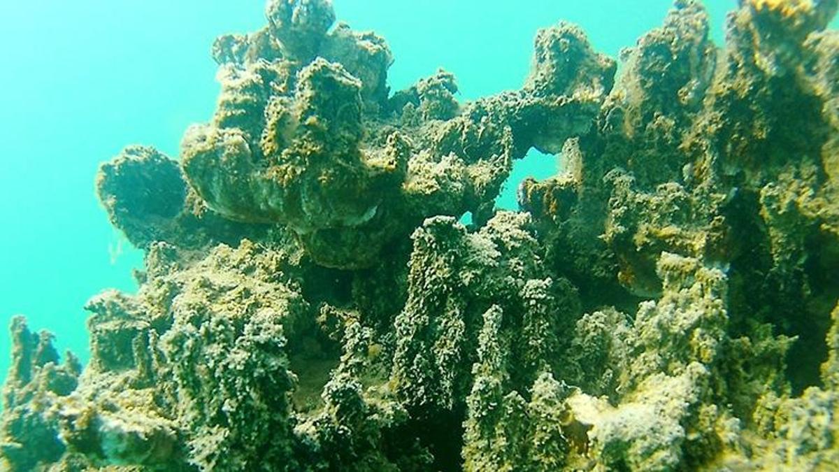 Van Gölü’ndeki mikrobiyalitlerin fotoğrafları sergilendi