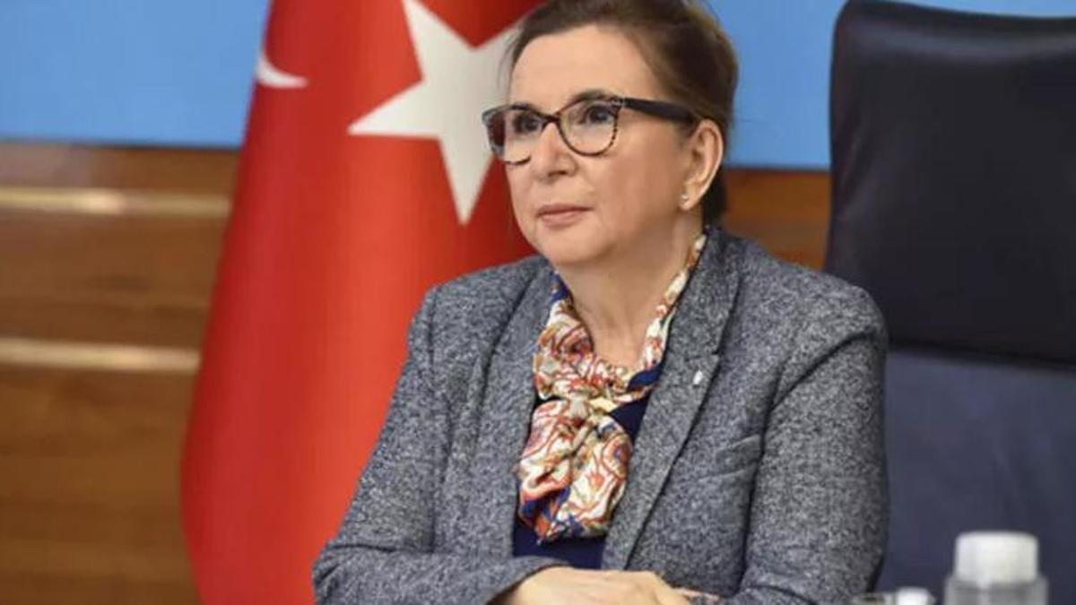 Savcılık, eski bakan için TBMM’yi işaret etti