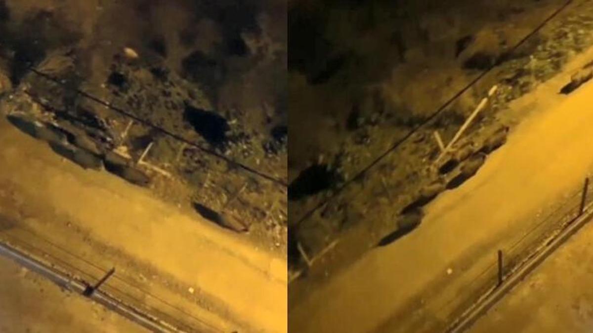 Giresun’da aç kalan domuz sürüsü ilçe merkezine indi
