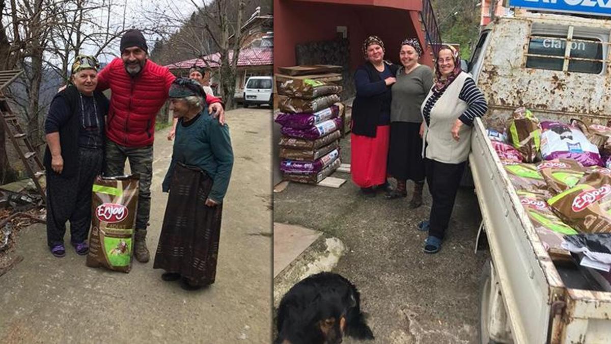 Köyündeki sokak kedileri için kampanya başlattı, 12 bin TL topladı
