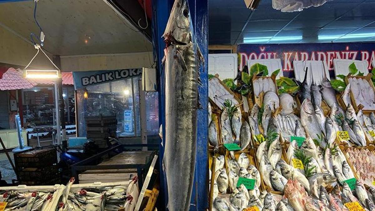 2 bin liraya satılıyor! 1 buçuk metrelik balığa yoğun ilgi