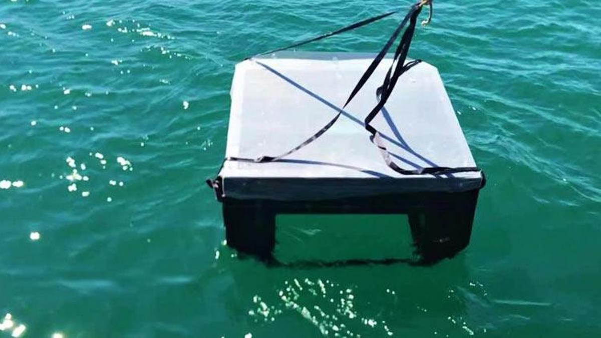 Lise öğrencilerinin geliştirdiği robot denizleri tertemiz yapacak