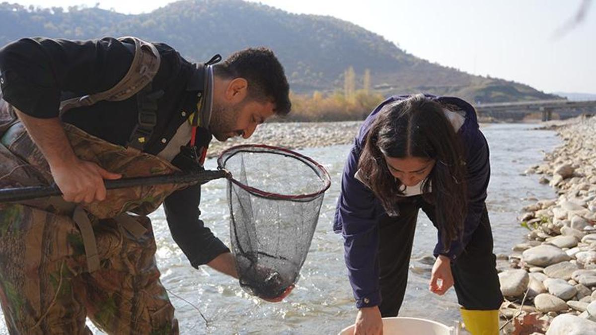 En son 47 yıl önce görülmüştü! O ilde ortaya çıktı, araştırmalar başladı
