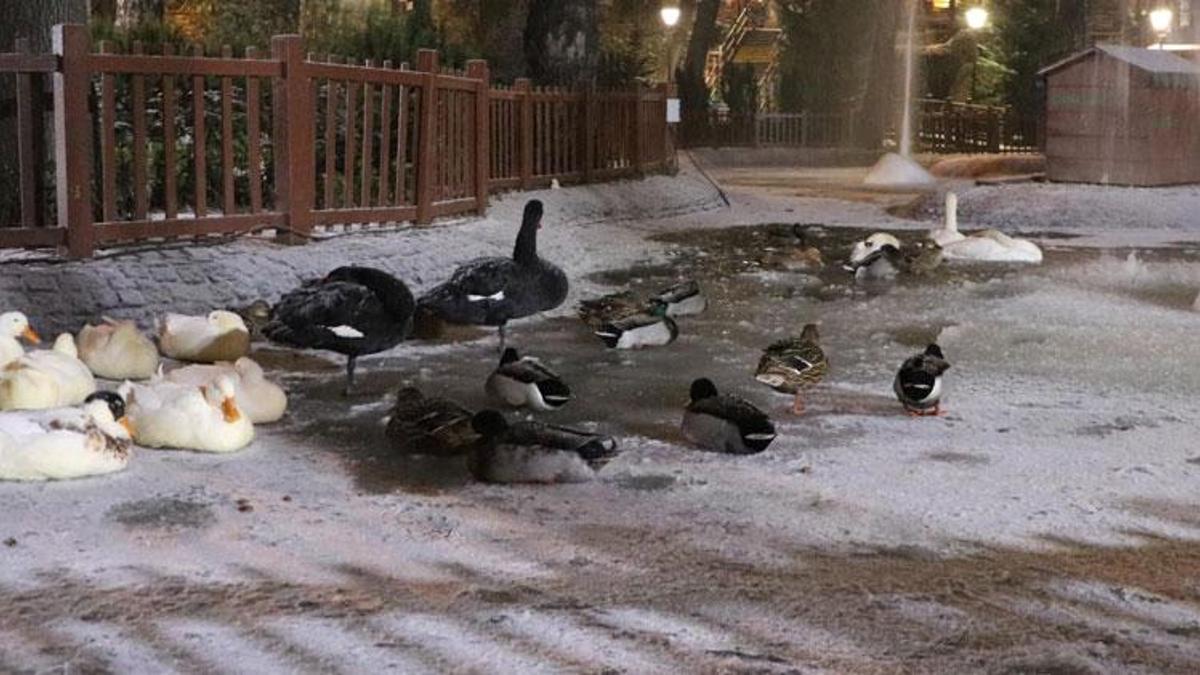 Hava sıcaklığı eksi 5 dereceye düştü