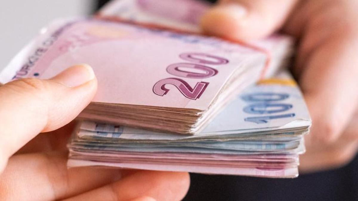 Döviz endeksli TL sistemiyle ilgili flaş açıklama! 'Alt/üst limit olmayacak'