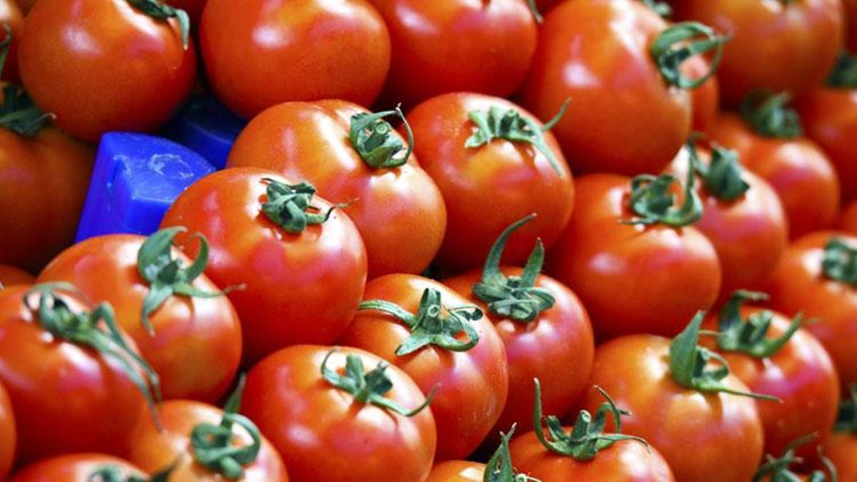 Domates ile ilgili flaş açıklama! Virüs domates fiyatlarını vuracak