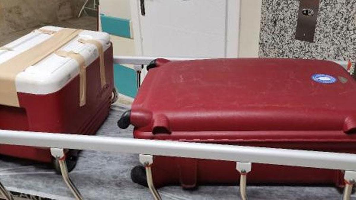 Organları, 3 ildeki 5 hastaya umut oldu