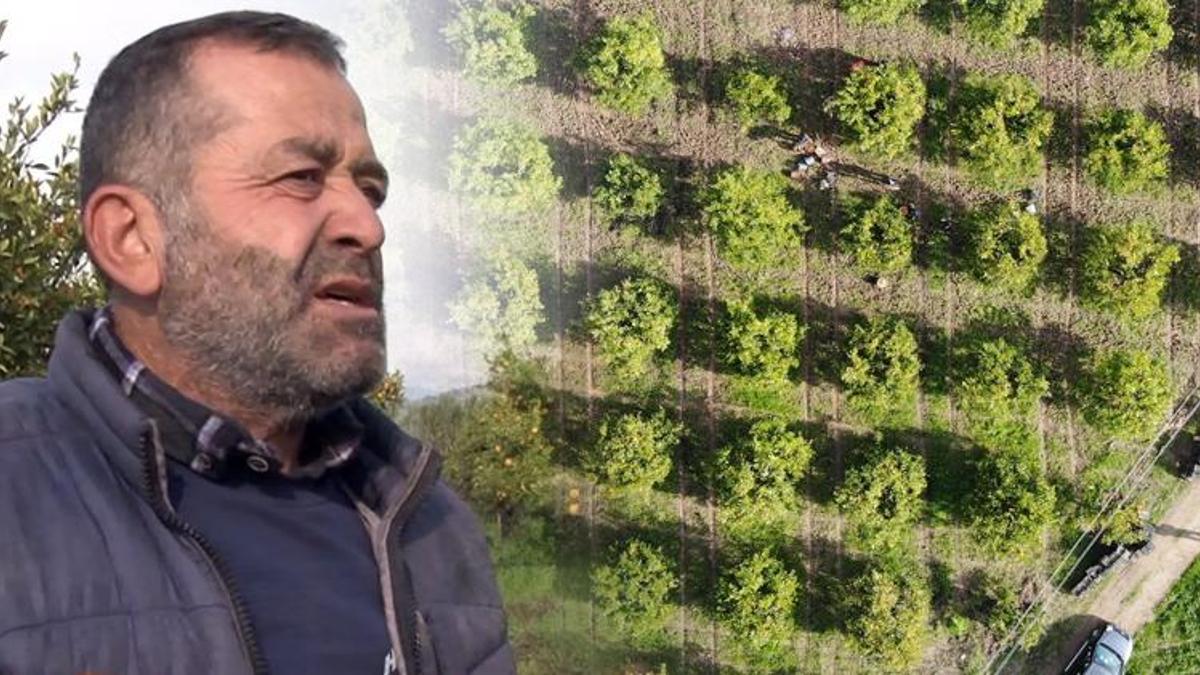 Fiyatı tarlada 2 lira, tezgahlarda 7 lira! Üreticiler aracılardan dertli