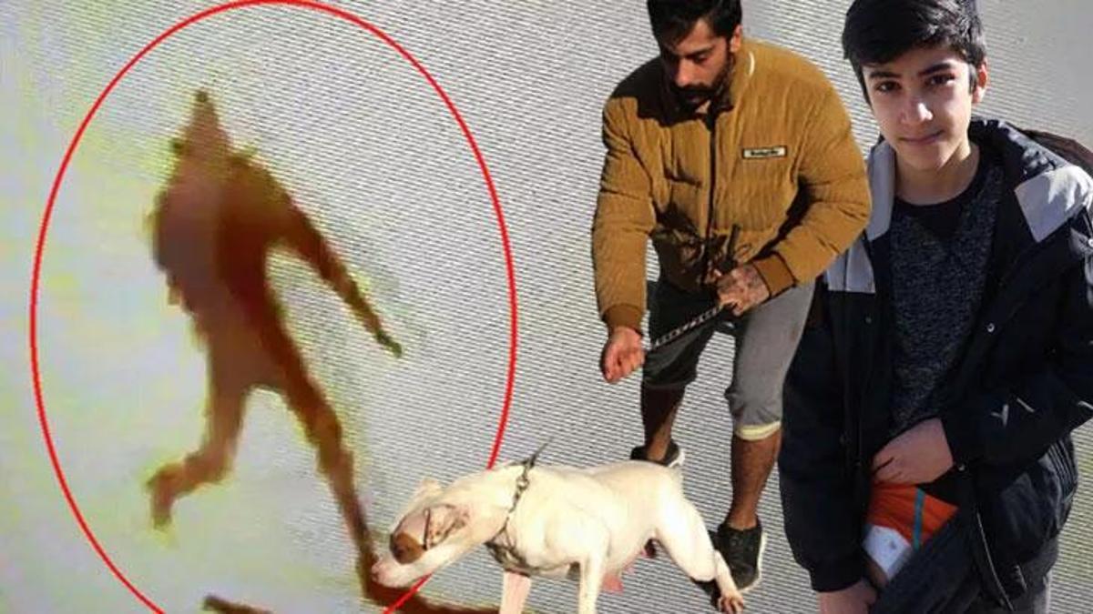 Pitbull saldırısı bitmek bilmiyor! 13 yaşındaki çocuğa zarar verdi!