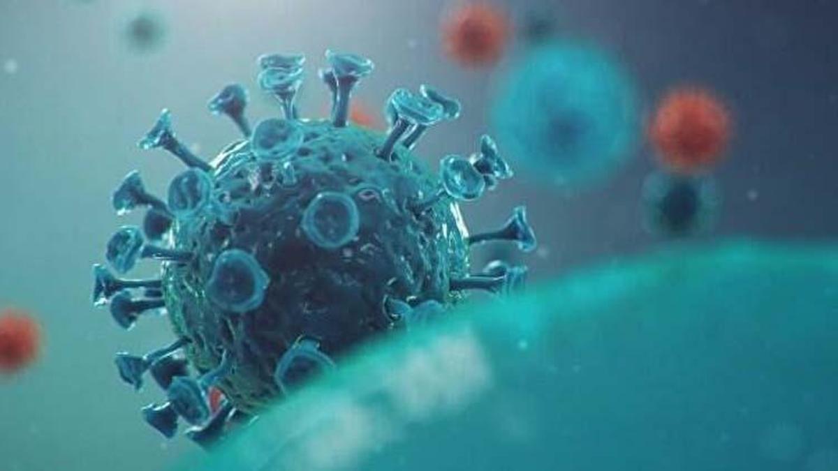 Delmicron nedir, Delmicron varyantı var mı?