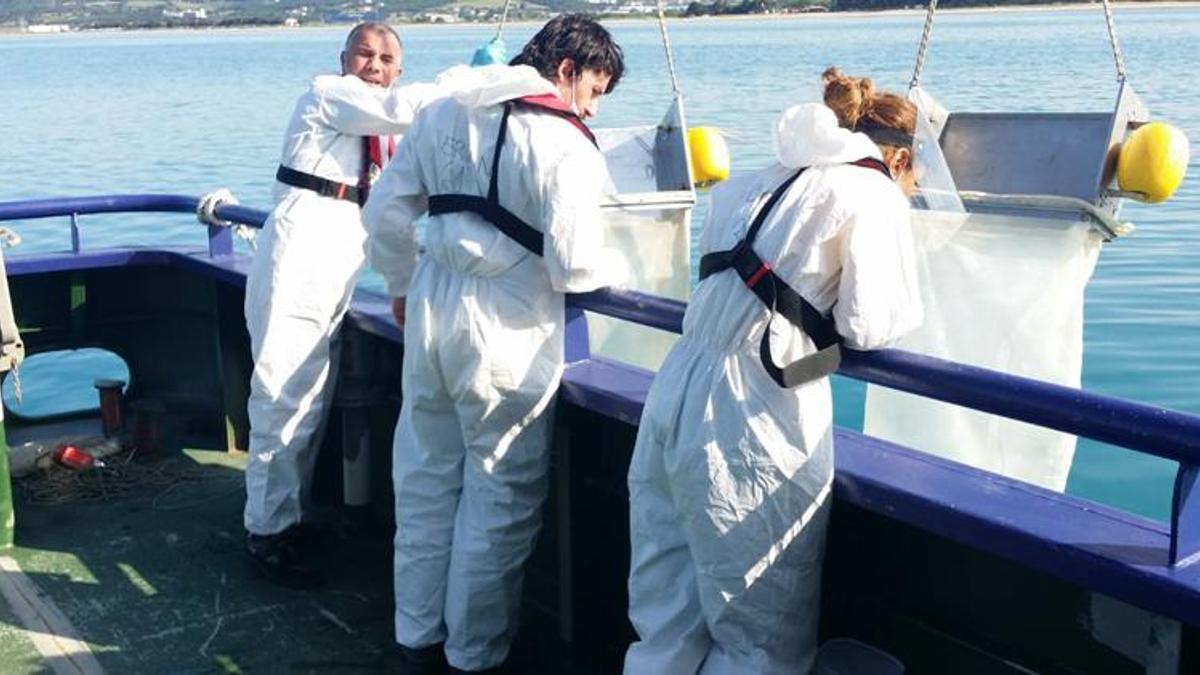 Ücretli poşetle, Karadeniz sahillerinde kirlilik azaldı