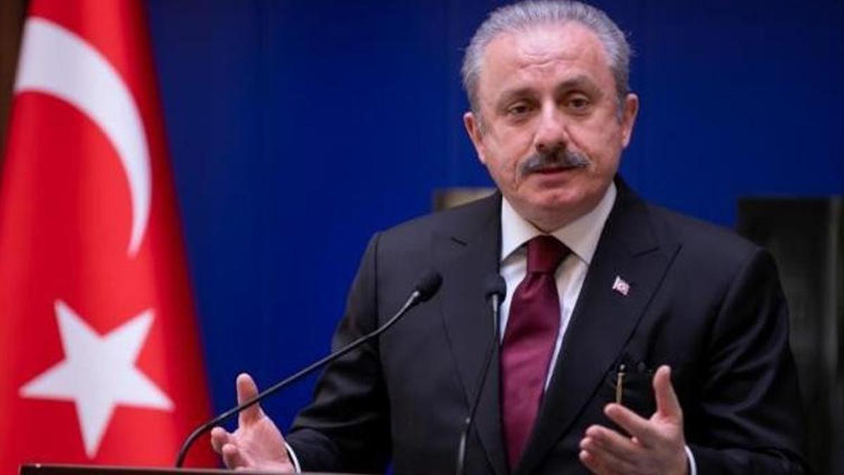 TBBM Başkanı Şentop'tan yeni yıl mesajı