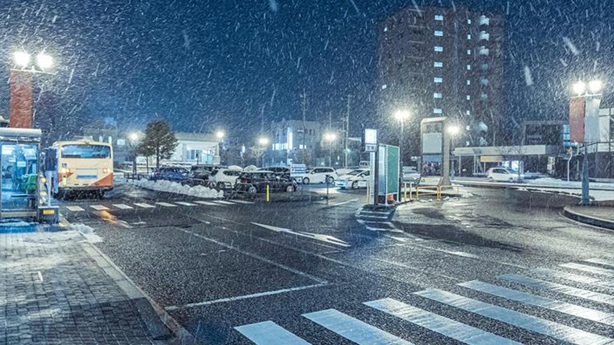 Japonya'da kar yağışı nedeniyle 220 uçuş ve 130 tren seferi iptal edildi