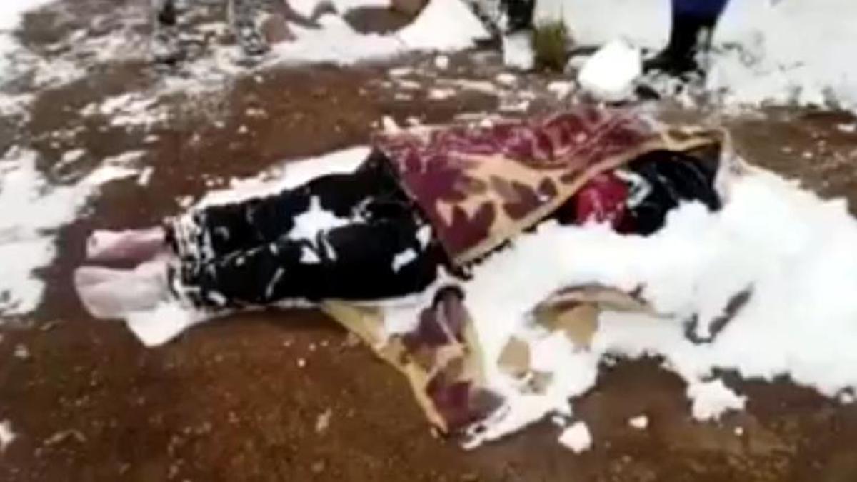 Afgan kadın soğuktan öldü, 2 çocuğu donmak üzereyken bulundu