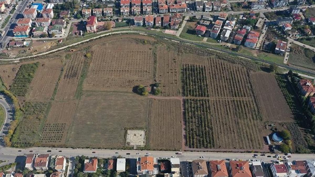 Türkiye’nin ilk “meyve” temalı millet bahçesi Yalova’da yapılıyor