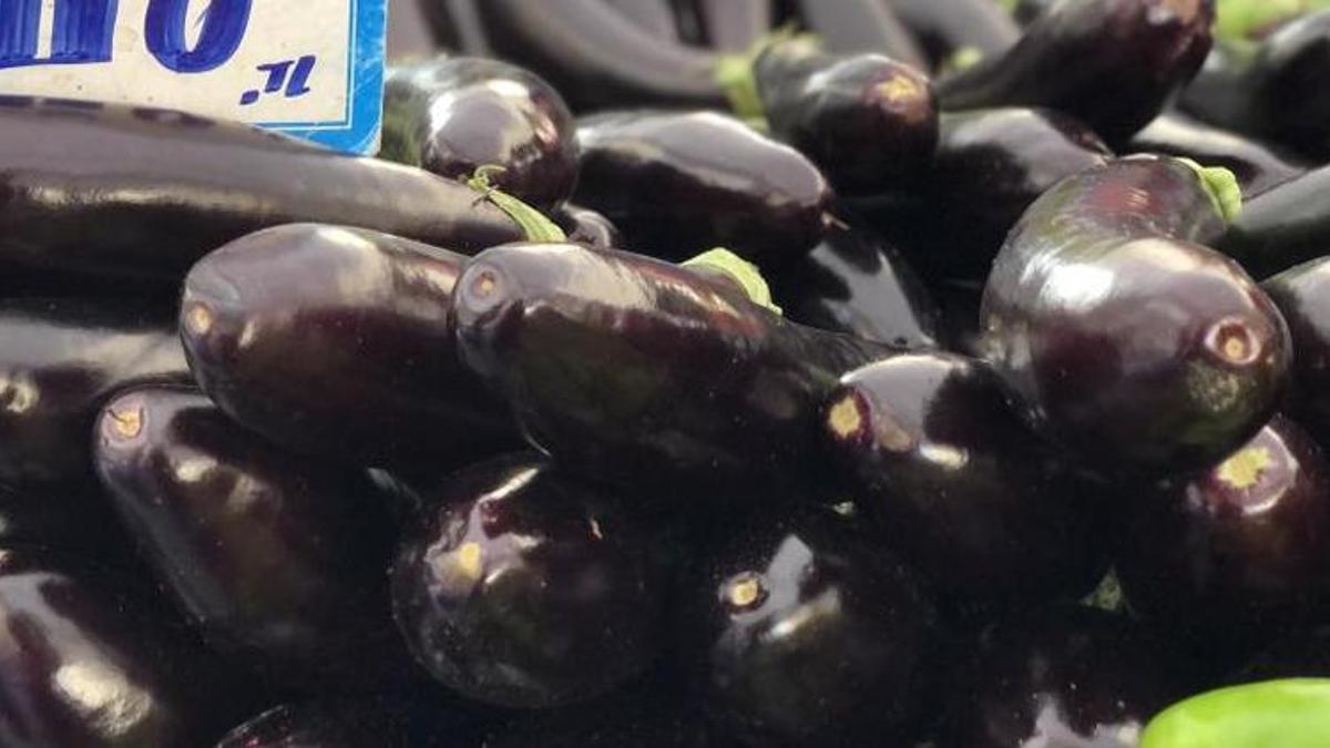 Fırtına seraları vurdu! Kilosu 20 lira