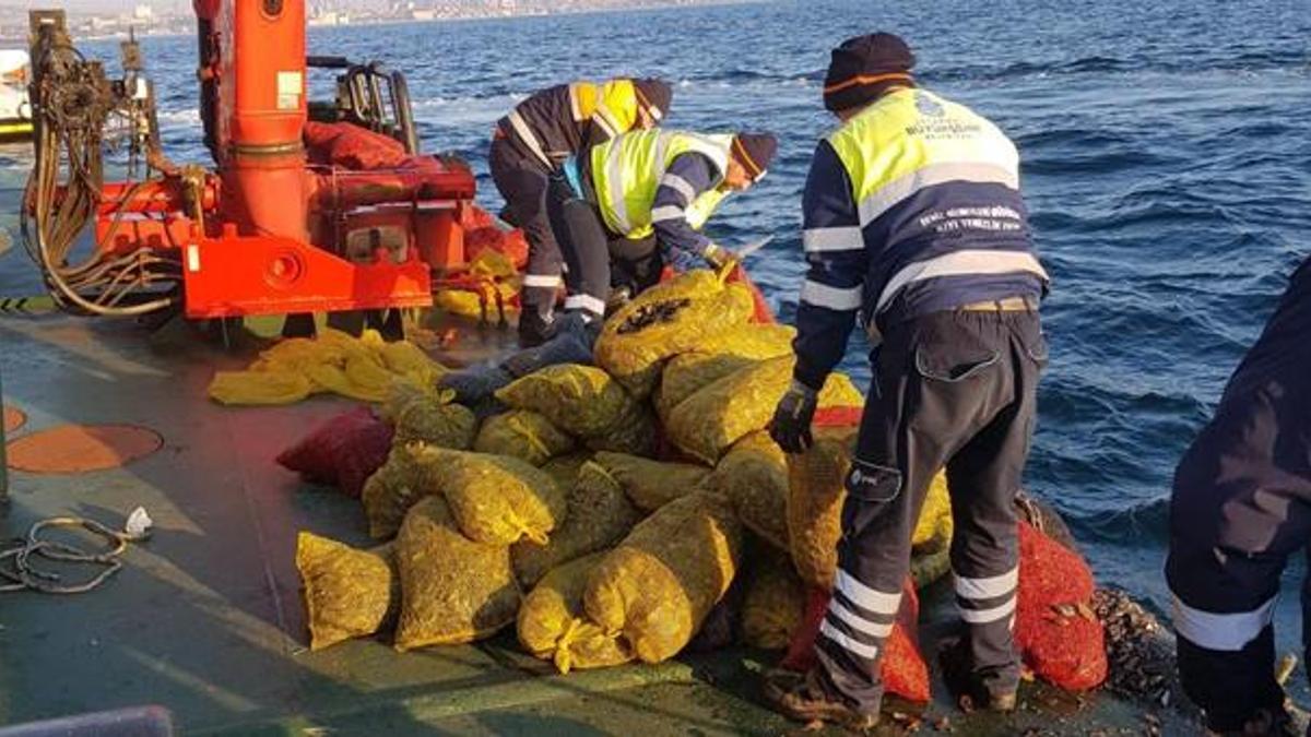 Bayrampaşa Hali’nde 5 ton kaçak midye ele geçirildi: Canlı midyeler denize bırakıldı