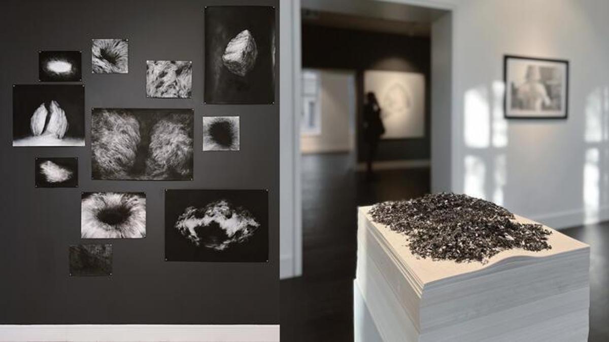 Vision Art Platform 'Bir Yok Oluş Repertuarı' ismini taşıyan yeni sergisiyle ziyaretçilerini bekliyor