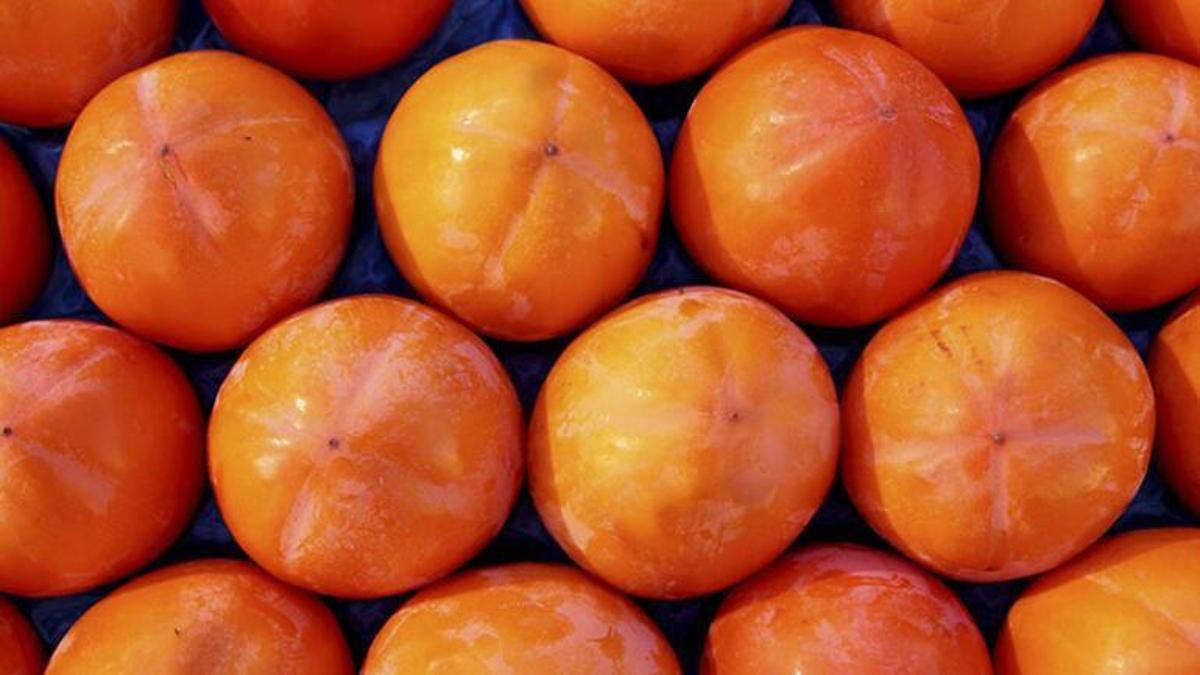 Yeni iş kapısı oldu! Tezgahlar doldu taştı! Kapış kapış gidiyor! Koronavirüse çare