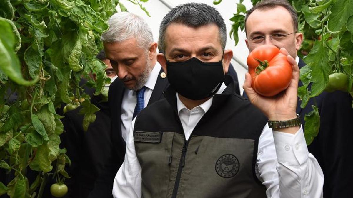 Bakan Pakdemirli: Seralarda üretim arttığında fiyatlardaki dalgalanma azalacak