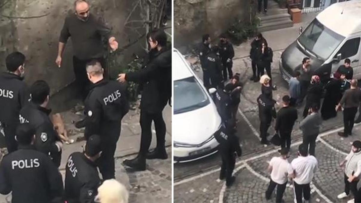 Fatih'te köpeğe şiddet uyguladığı iddia edilen kişi gözaltına alındı