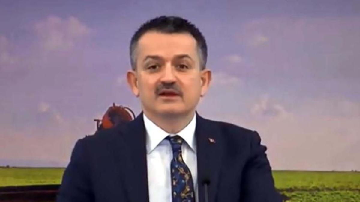Son dakika hibe açıklaması! Başvuru süreci başladı