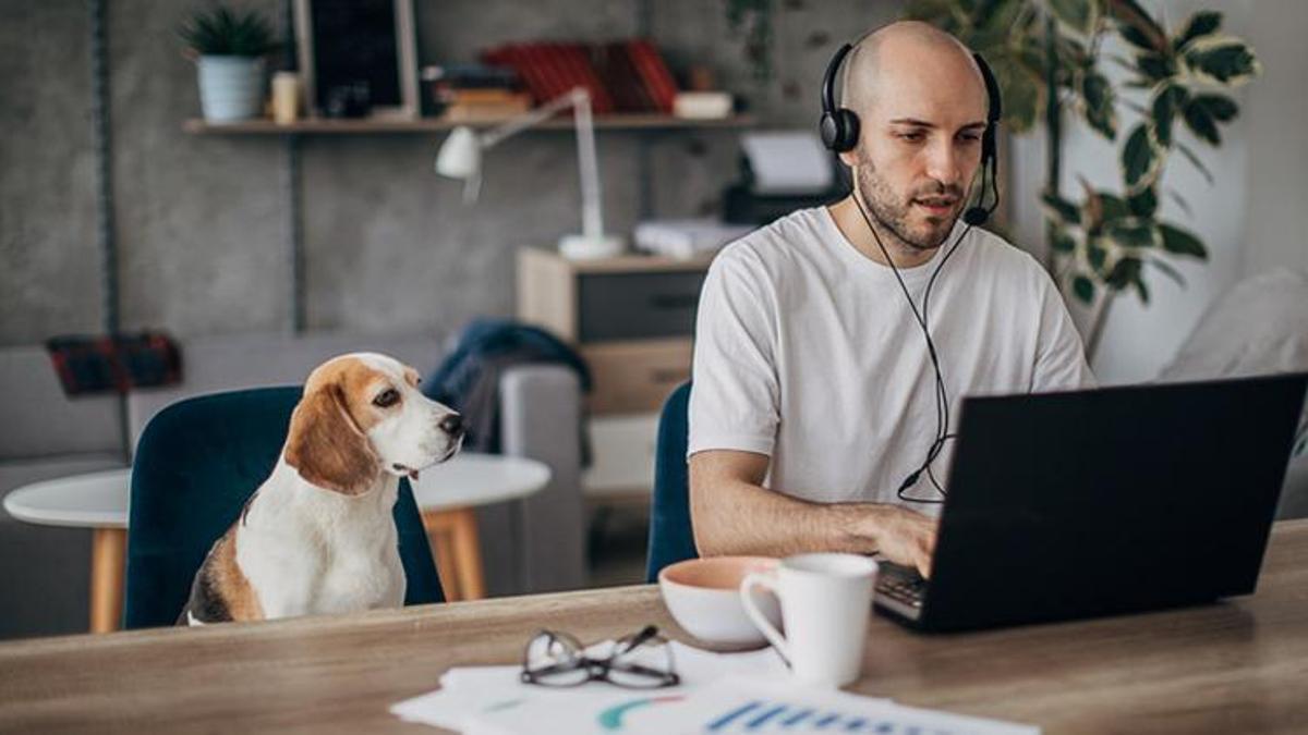 Freelance çalışanlar küresel işgücünün yüzde 35’ine sahip