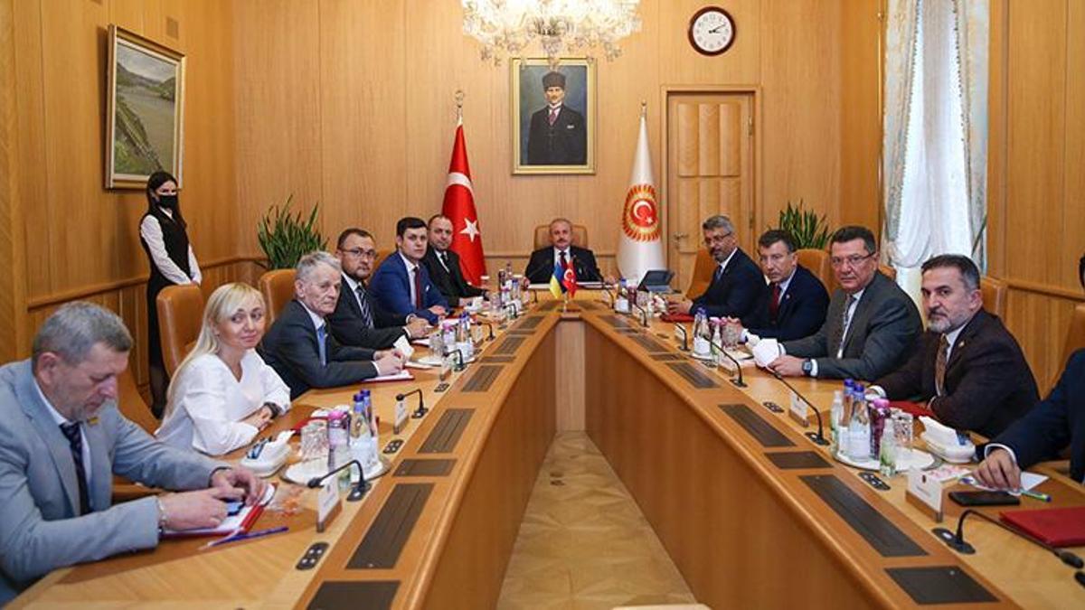 Şentop, Ukrayna-Türkiye Parlamentolar Arası Dostluk Grubu Eş Başkanını kabul etti