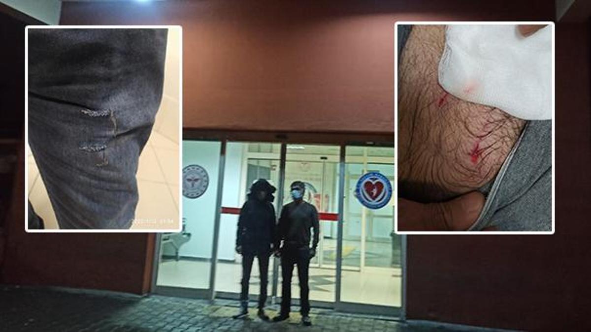 Köpeklerin saldırısına uğrayan baba- oğul yaralandı