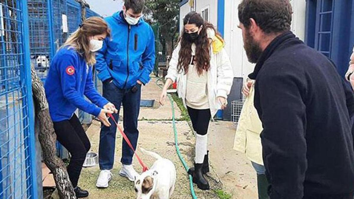 Kıvanç Tatlıtuğ-Başak Dizer çiftinden sokak hayvanları için destek sözü