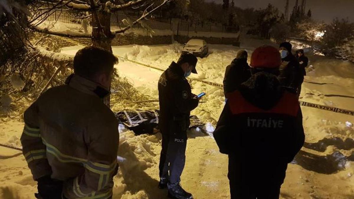 Yaşlı adam devrilen ağacın altında ölü bulundu