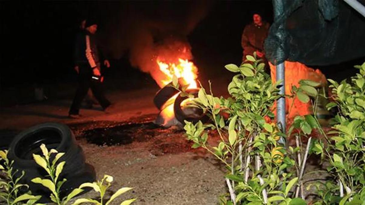 Zirai don nöbeti başladı! 10 gün boyunca devam edecekler