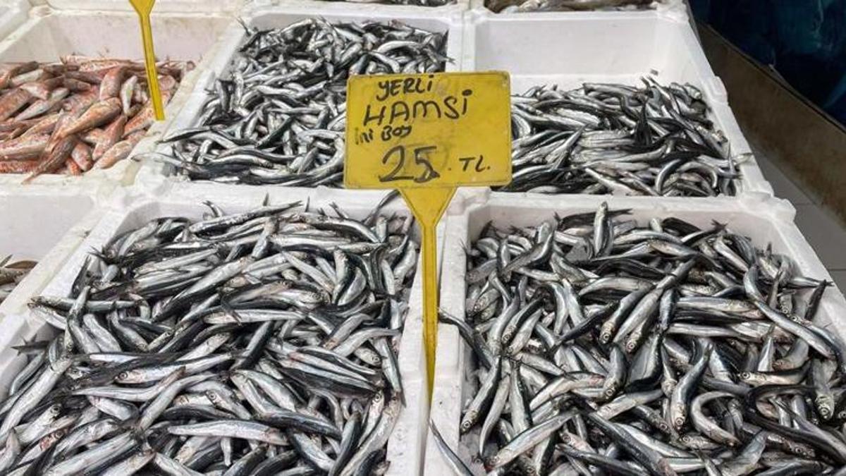 Hamsi fiyatları yarı yarıya düştü! Kilosu...