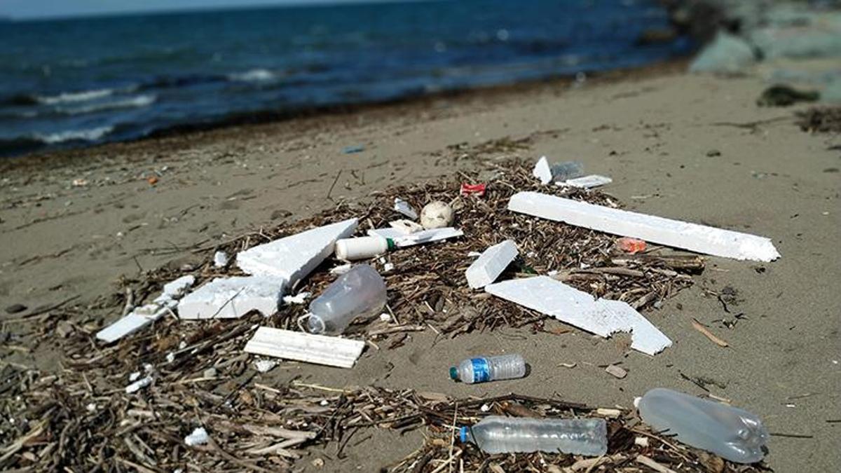 Karadeniz ile ilgili korkutan açıklama! ' Hızla artıyor'