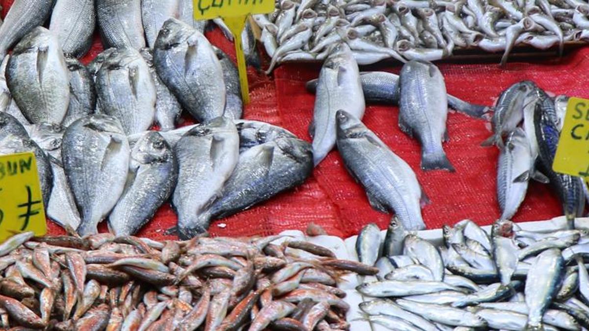 Balık satışları patladı! Fiyatlar çok uygun, böylesi görülmedi! Hamsi, istavrit, mezgit, barbun...