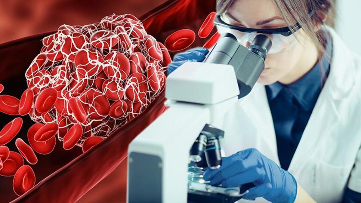 Bilim insanları uzun yaşamın sırrını duyurdu! 'Seviyesi düşürüldüğünde ömür uzuyor'