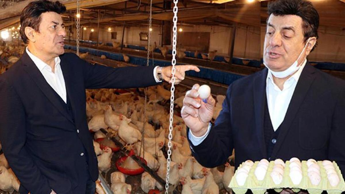 Yumurta çiftliği kuran Coşkun Sabah’ı dolandırdılar!