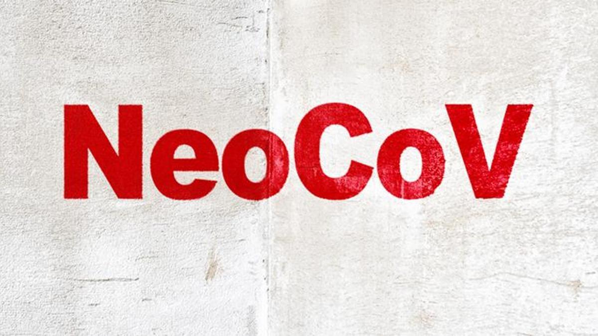NeoCov varyantı nedir? NeoCov varyantı belirtileri neler?