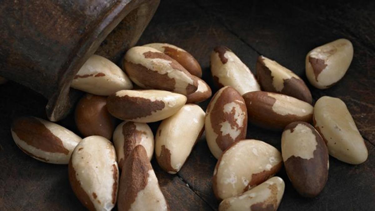Brezilya cevizi faydaları nelerdir? Brezilya cevizi nerelerde, ne için kullanılır?