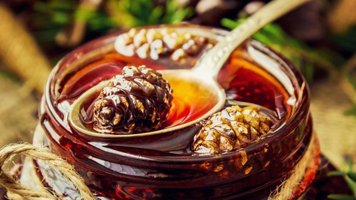 Çam pekmezi faydaları nelerdir? Çam pekmezi ne kadar tüketilmelidir?