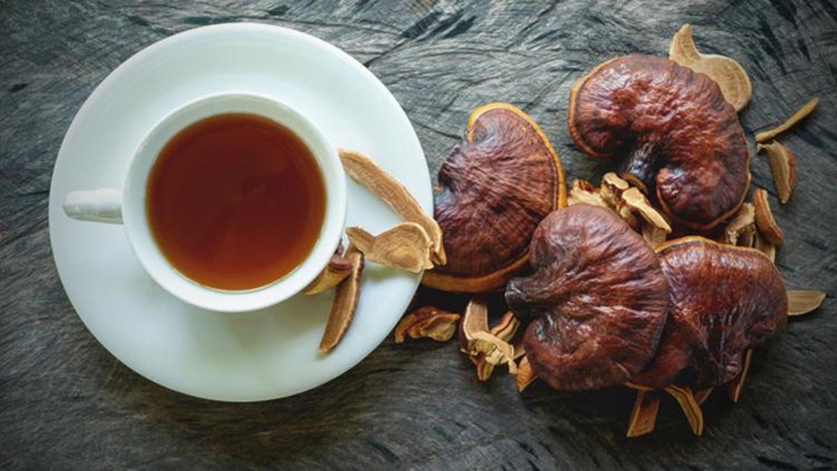 Reishi mantarı nedir, nasıl tüketilir? Reishi mantarı faydaları nelerdir?