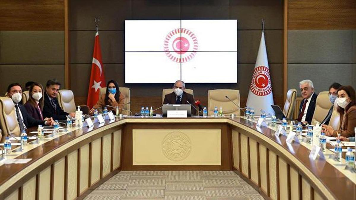 Şuşa Beyannamesi, Dışişleri Komisyonu'nda kabul edildi