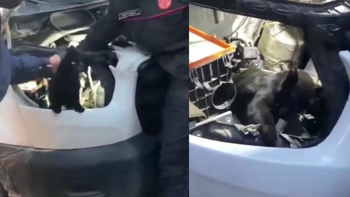 Araç motorunda mahsur kalan kediyi itfaiye kurtardı