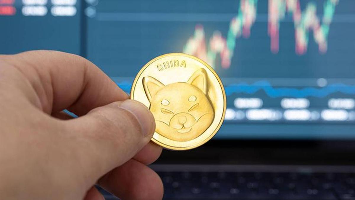 Shiba Coin neden yükseldi? Shiba Coin ne kadar oldu?