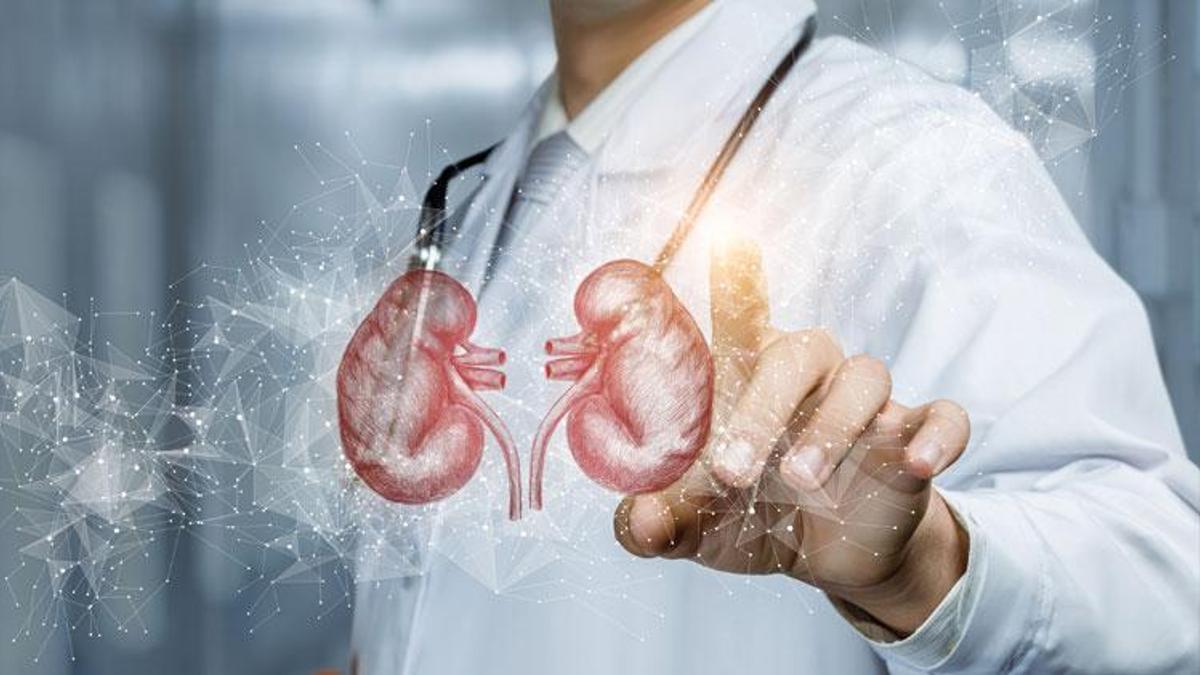 Böbrek kanserinin evrelerine göre tedavi seçenekleri nelerdir?
