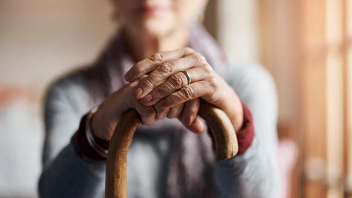 Tekaüt ne demek? Tekaüt Sandığı hangi padişah döneminde kurulmuştur?