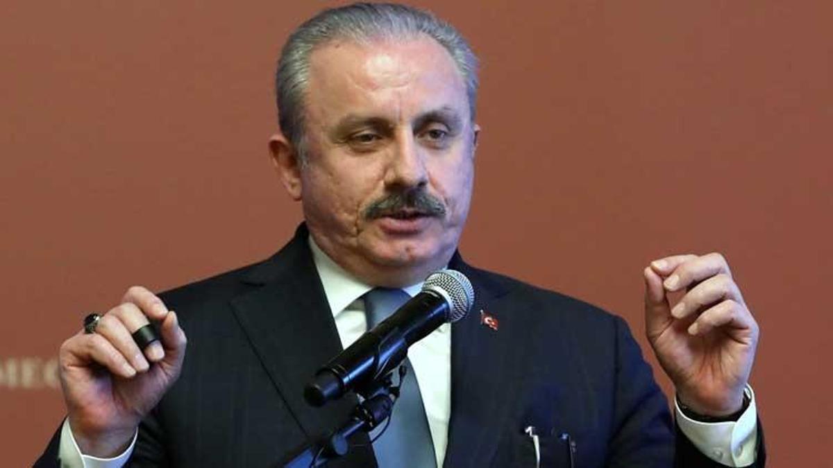 Üçüncü dönem adaylık tartışması! Meclis Başkanı Şentop'tan son dakika açıklaması