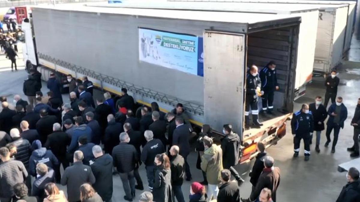 İstanbul'daki üreticilere bin 250 ton süt yemi dağıtılacak