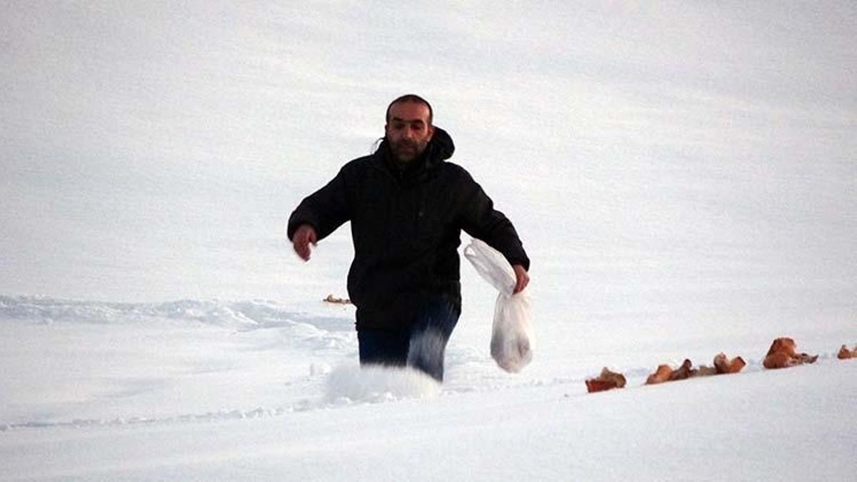 Beline kadar kara battı! Yaban hayvanları için soğuğa aldırmadı!